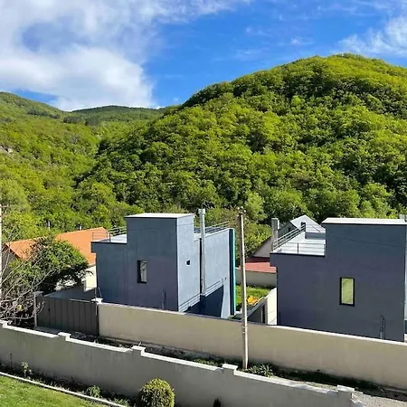 Twins Apartment Tbilisi Exterior photo